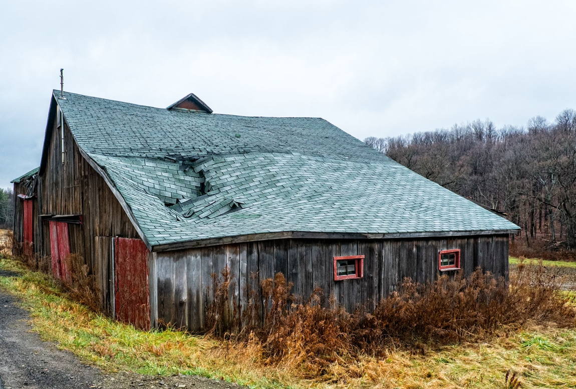Licensed stock photograph: shingles lifted and peeled back in a patch near the ridge of a barn roof after high wind.